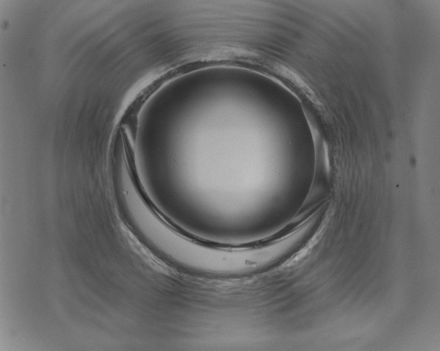 X0000073751122200608031422
