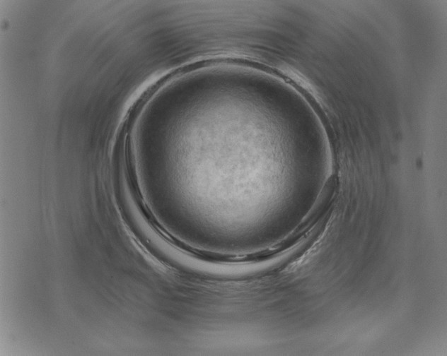 X0000073751127200608031422