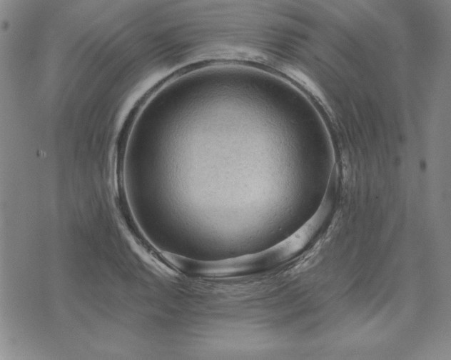 X0000073751128200608031422