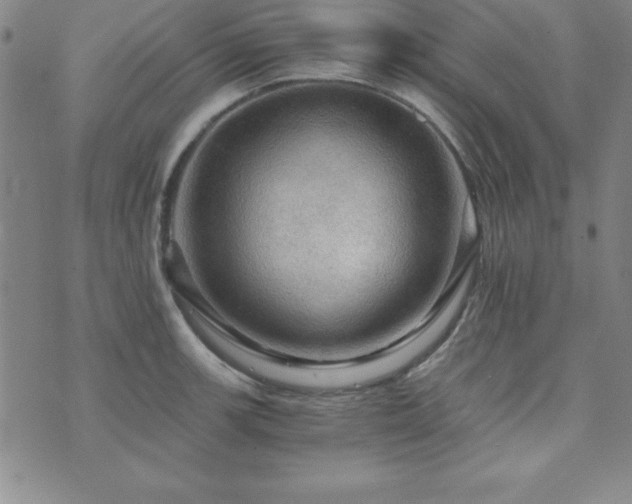 X0000073751139200608031423