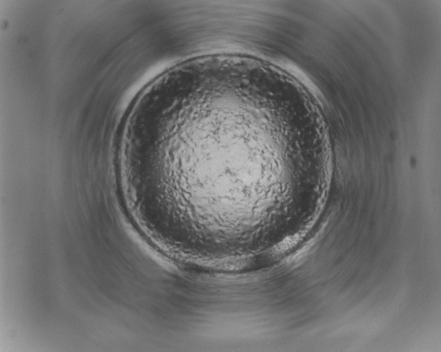 X0000073751142200608031423