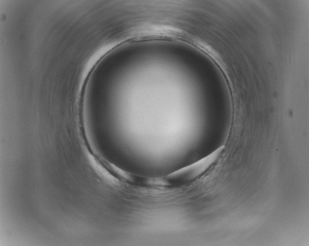 X0000073751152200608031423