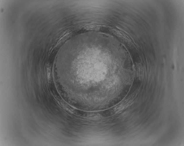 X0000073751154200608031422