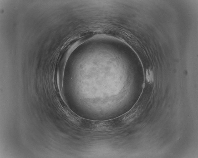 X0000073751155200608031422