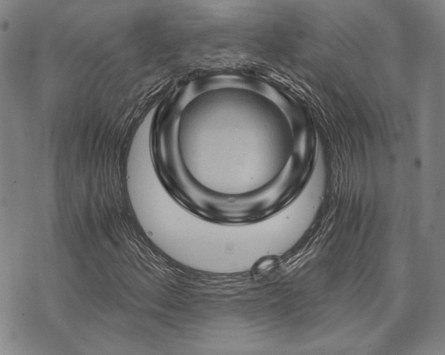 X0000073751156200608031422
