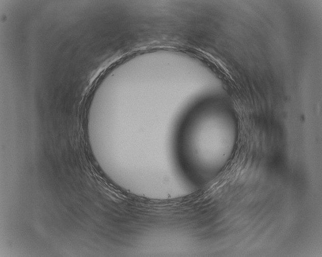 X0000073751160200608031422