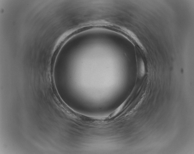 X0000073751176200608031422