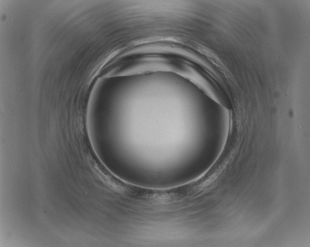 X0000073751177200608031421