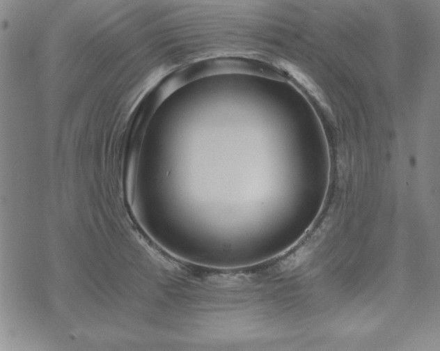 X0000073751185200608031421