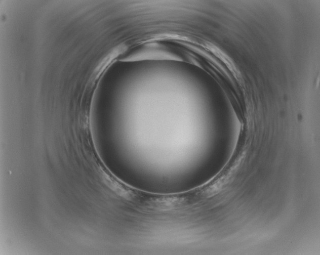 X0000073751193200608031421