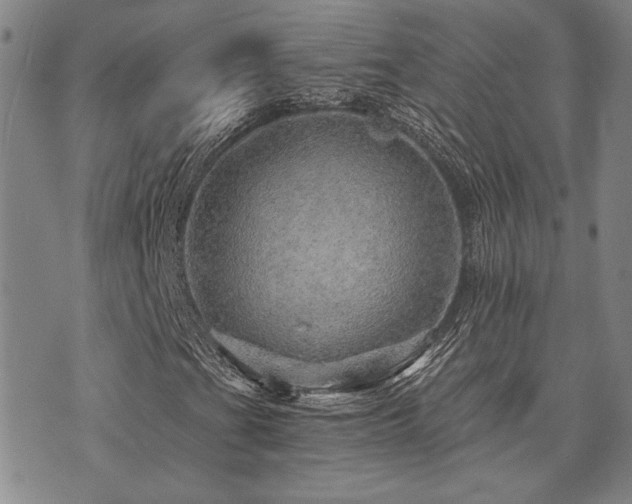X0000073751201200608031420