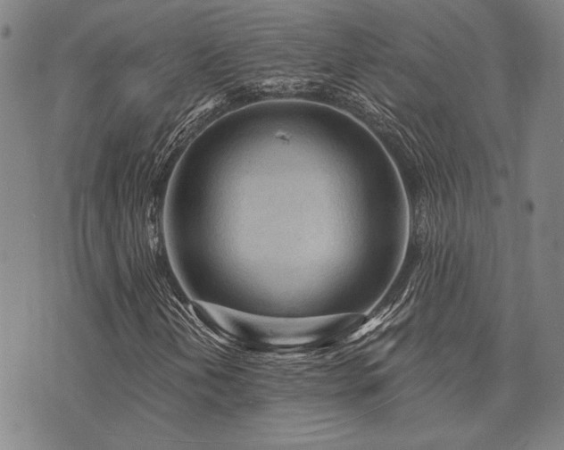 X0000073751202200608031420