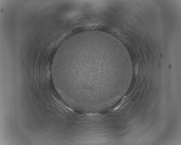 X0000073751204200608031420