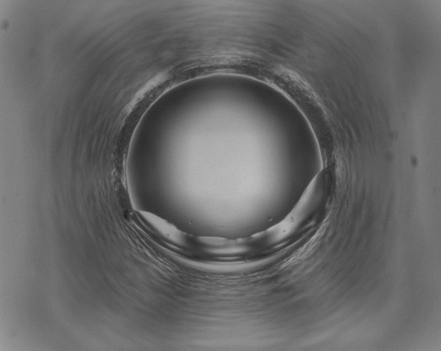 X0000073751210200608031420