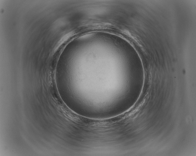 X0000073751211200608031420