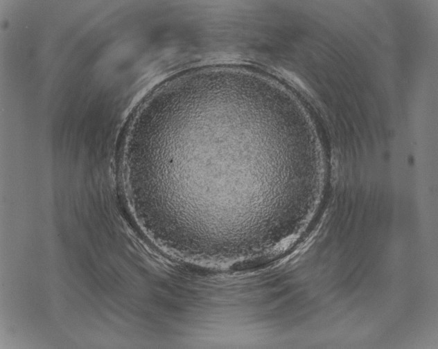X0000073751212200608031421