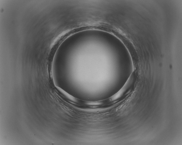 X0000073751214200608031421