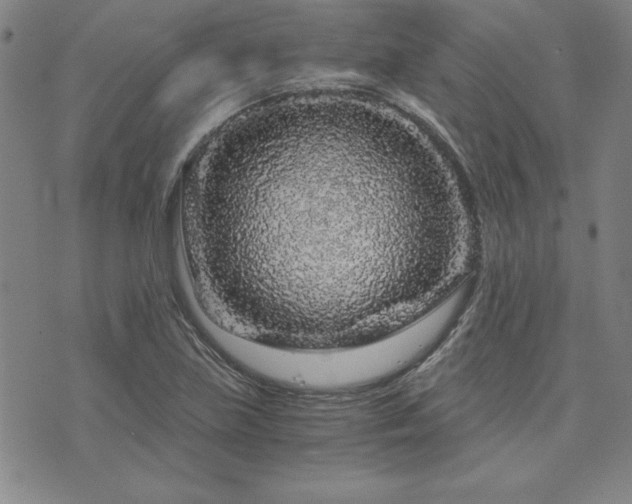 X0000073751219200608031421