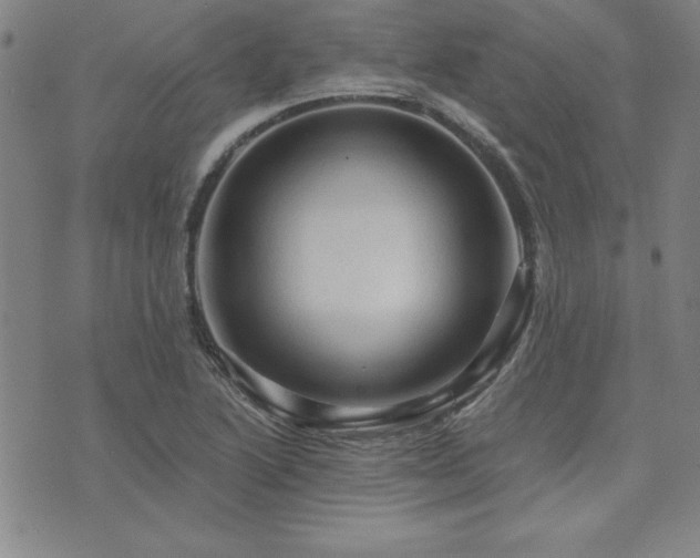 X0000073751222200608031421