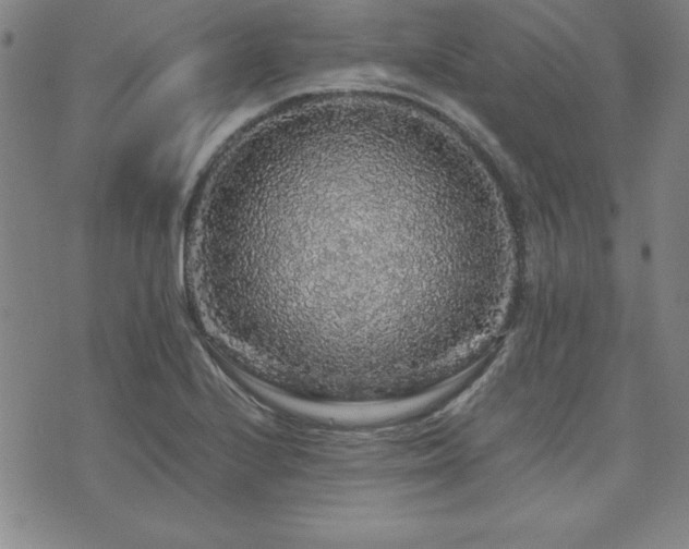 X0000073751224200608031421