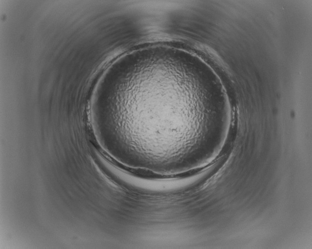 X0000073751225200608031421