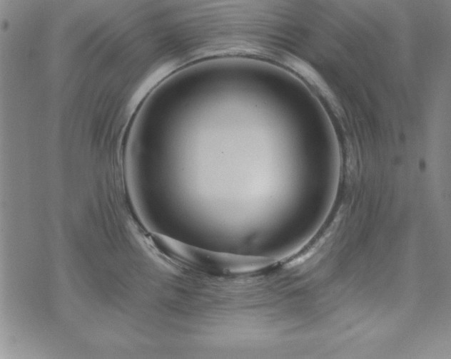X0000073751242200608031421