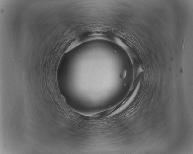 X0000073751249200608031420