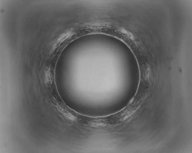 X0000073751253200608031420