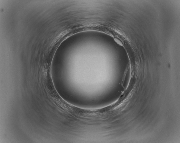 X0000073751257200608031420