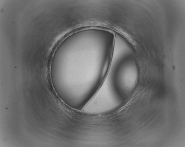 X0000073751264200608031420