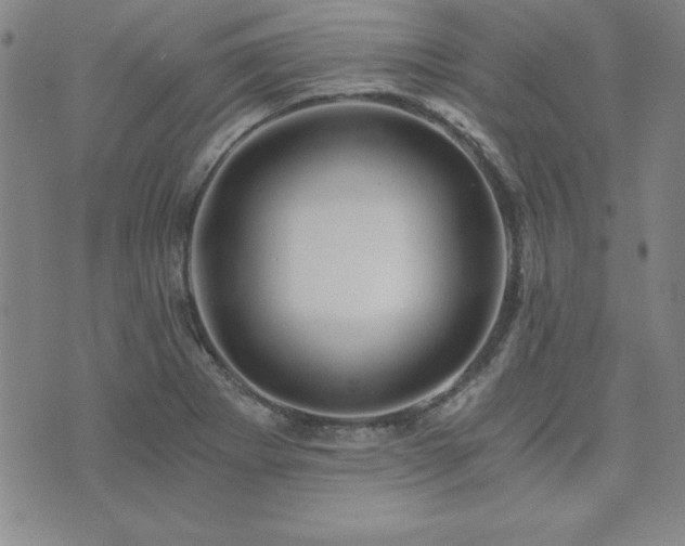 X0000073751273200608031420