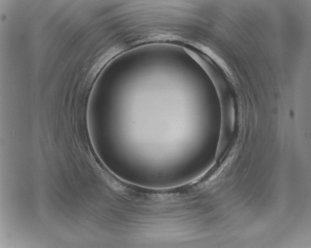 X0000073751281200608031420