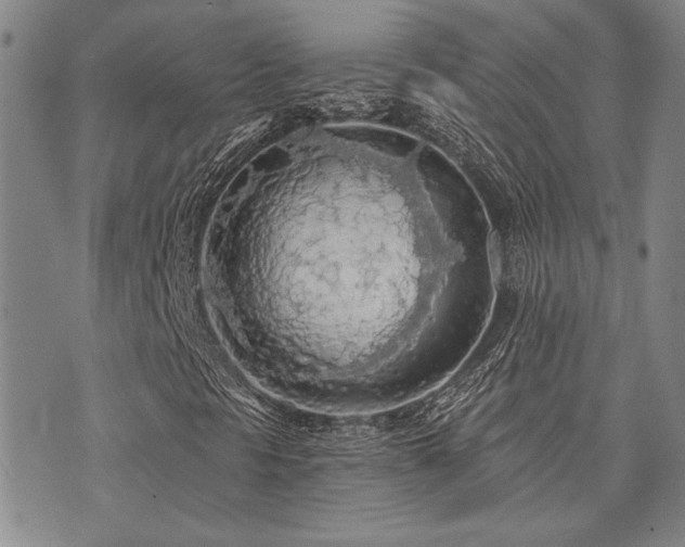 X0000073751297200608031419