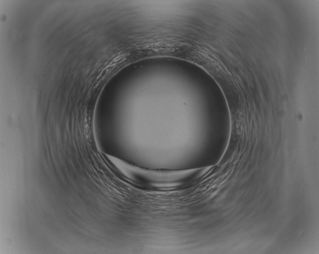 X0000073751298200608031419