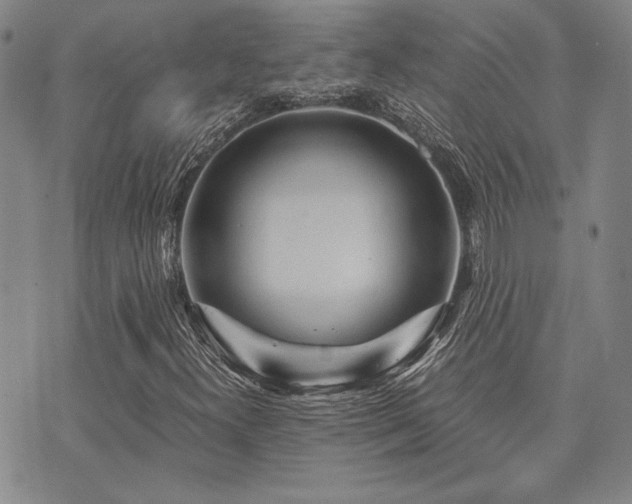 X0000073751300200608031419