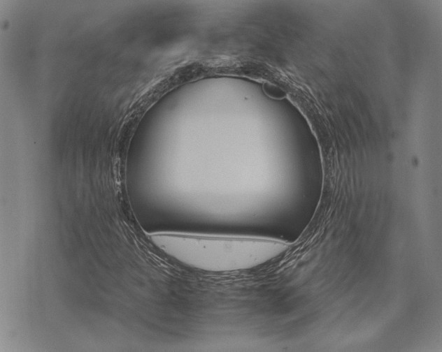 X0000073751301200608031419