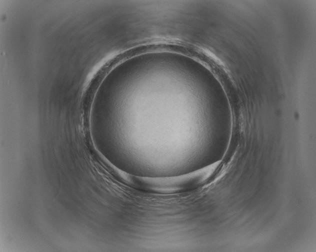 X0000073751310200608031419