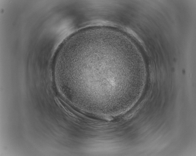 X0000073751318200608031419