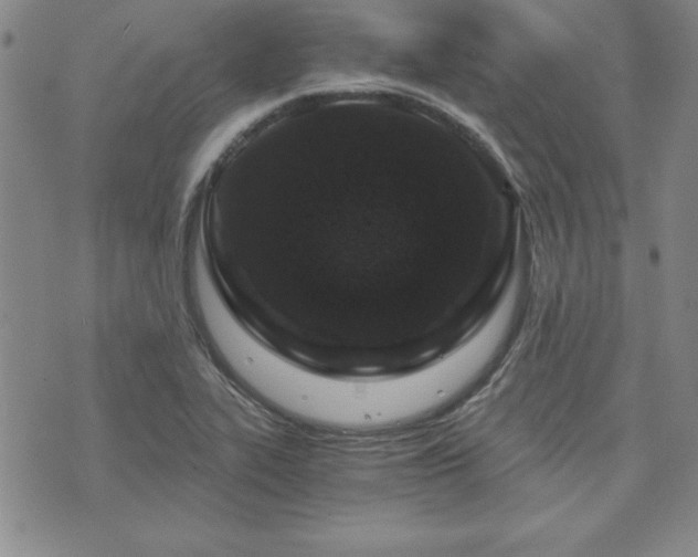 X0000073751319200608031419
