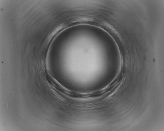 X0000073751321200608031419