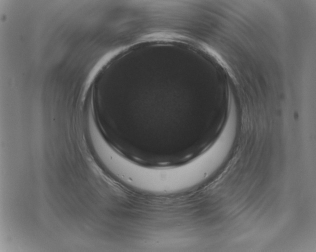 X0000073751323200608031419