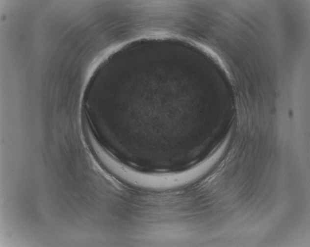 X0000073751327200608031419
