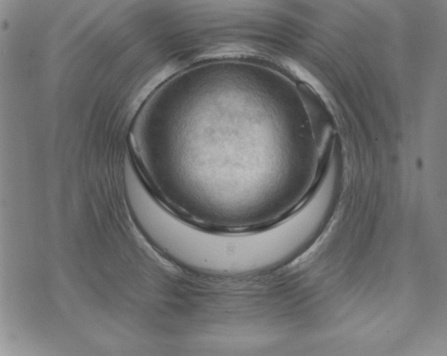 X0000073751329200608031419