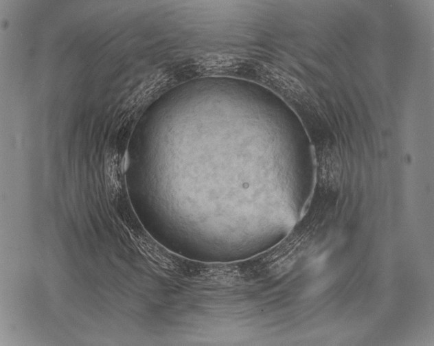 X0000073751346200608031419