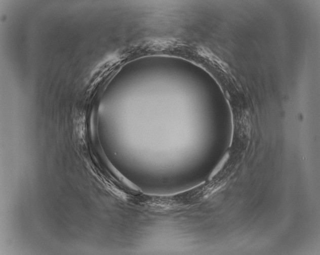 X0000073751349200608031419