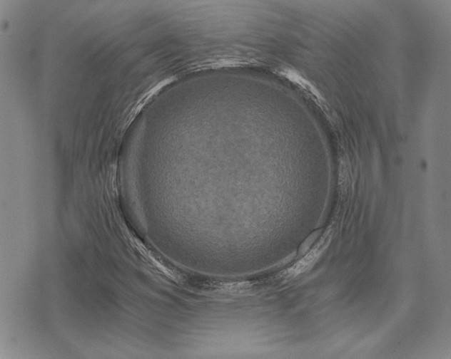 X0000073751353200608031419