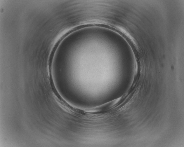 X0000073751372200608031418