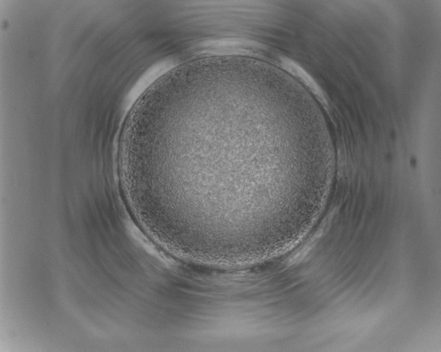 X0000073751386200608031418