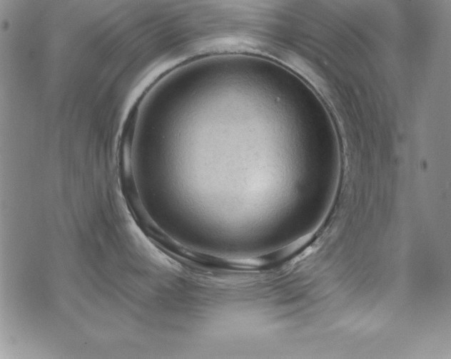 X0000073751392200608031418