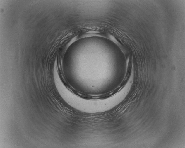 X0000073751394200608031417